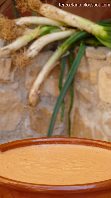  CALÇOTS CON SALSA ROMESCO 