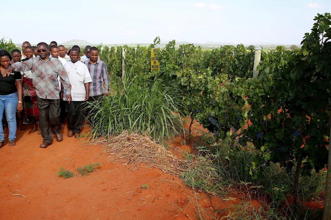 Mizengo Pinda PINDA ATEMBELEA SOKO LA MIEMBENI DODOMA