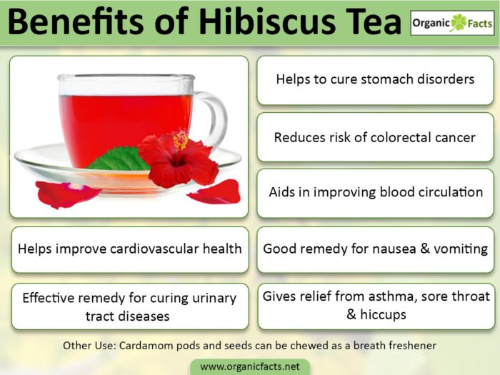 rainbowdiary Hibiscus Tea And Health Benefits