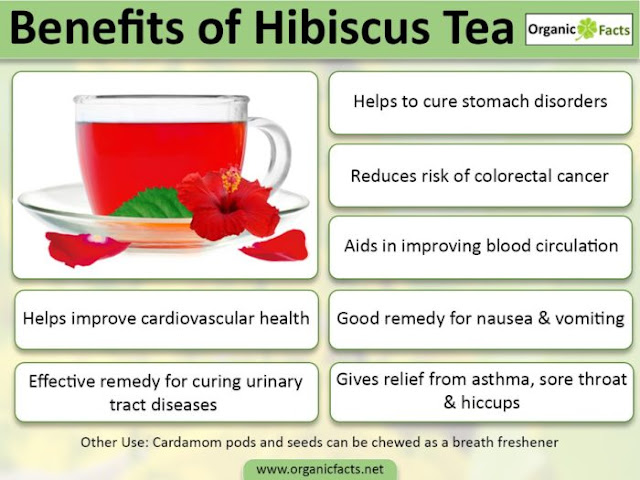 Rainbowdiary Hibiscus Tea And Health Benefits rainbowdiary-hibiscus-tea-and-health-benefits