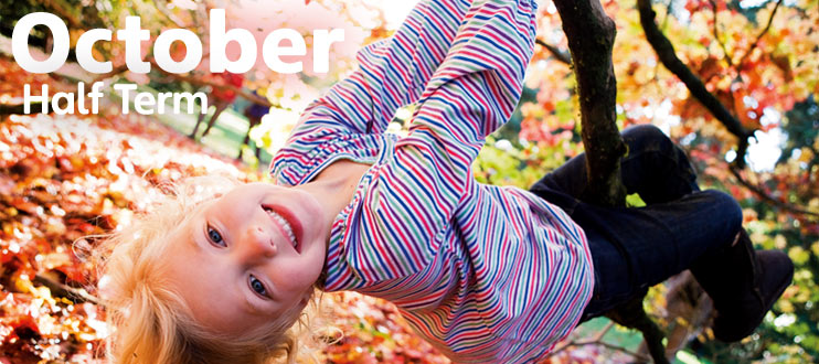 Try Something Different On A Half Term Holiday In Lincolnshire The try-something-different-on-a-half-term-holiday-in-lincolnshire-the