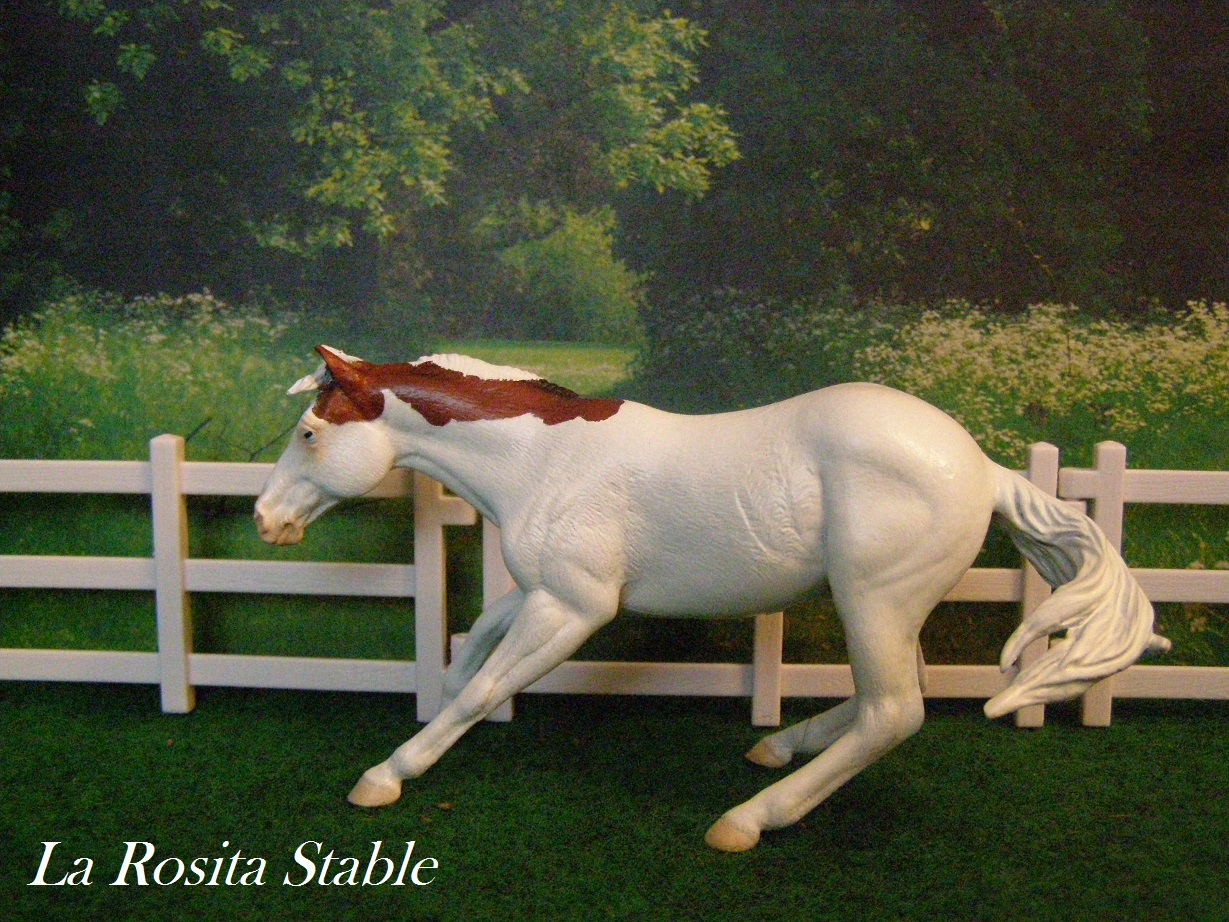 La Rosita Stable Blanquito Bay Maximum Splash white Quarter Horse Custom