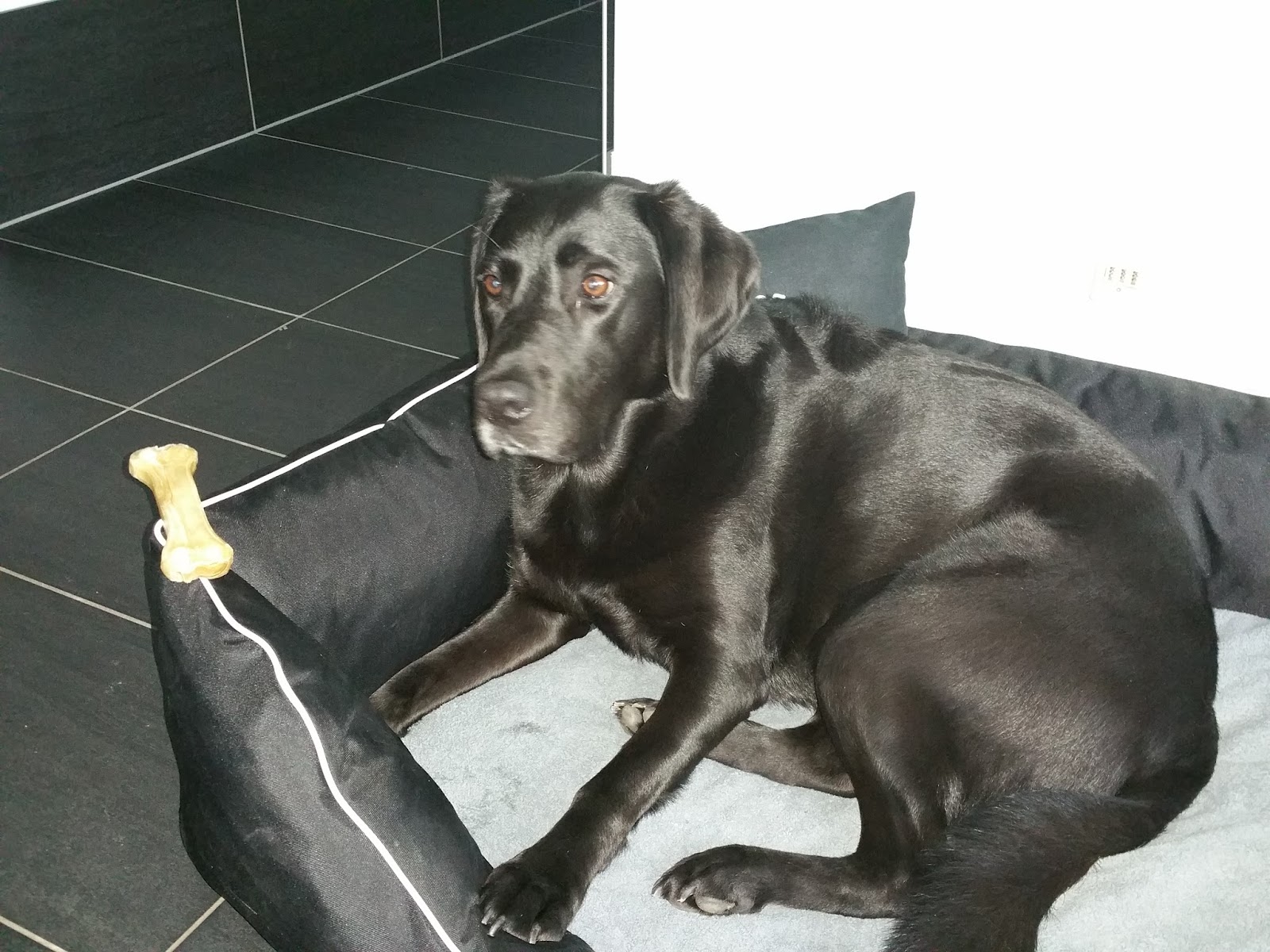 Gibt Es Eine Montessori Art Um Ostern Zu Feiern Eltern Vom Mars