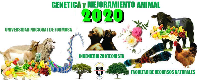 MEJORAMIENTO GENETICO ANIMAL 2020
