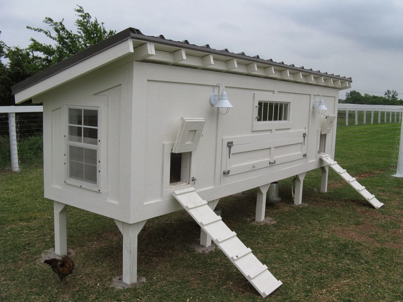 Chicken House Plans: Truths Of Building A Chicken Coop - +BuilDing A Chicken Coop12