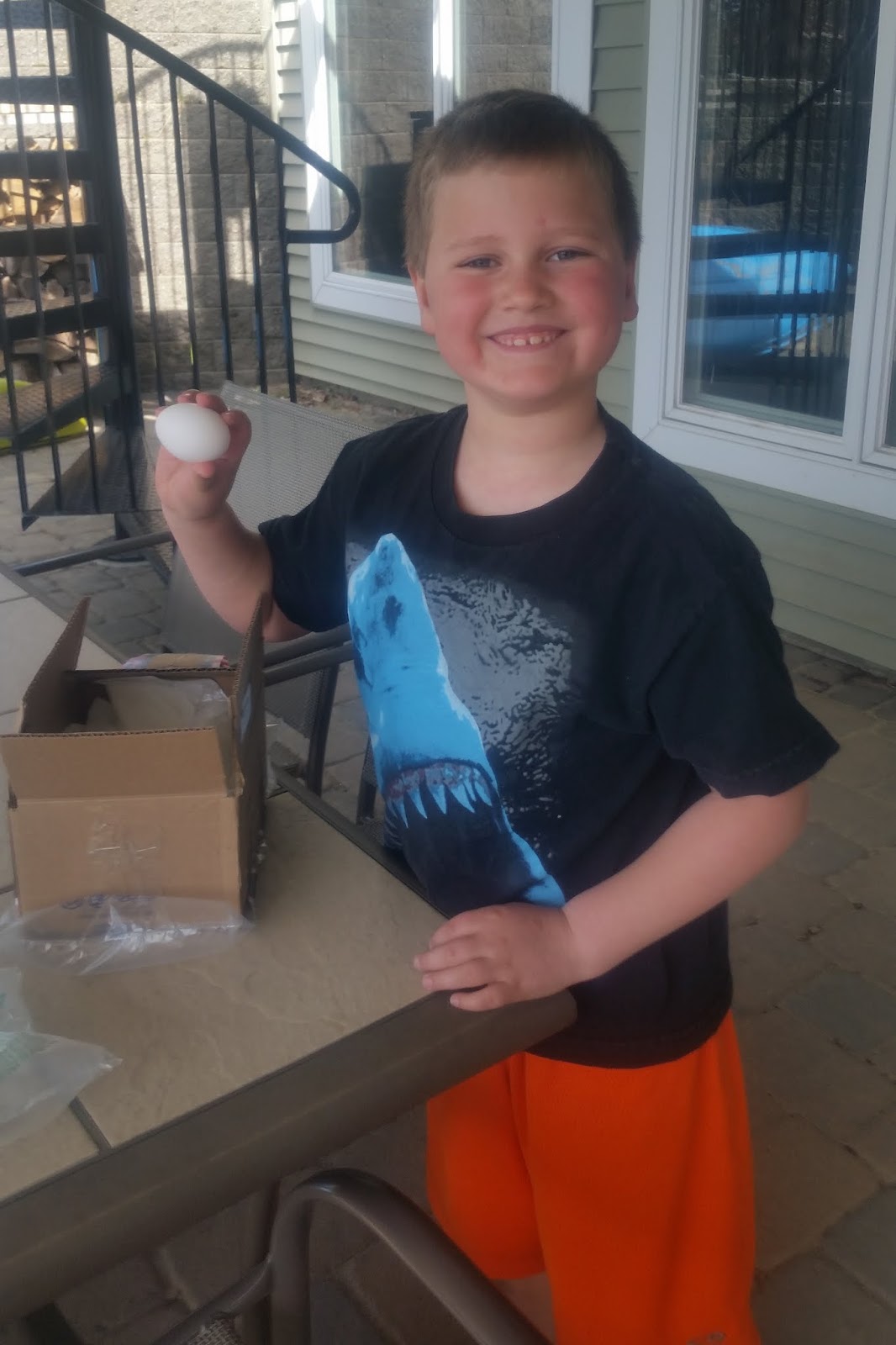 Hosting and Planning for an Egg Drop