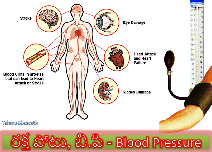 రక్త పోటు, బి.పి - Blood Pressure