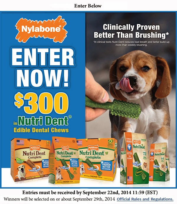 Adventures in Shopping Win 300 in Nutri Dent Dog Treats