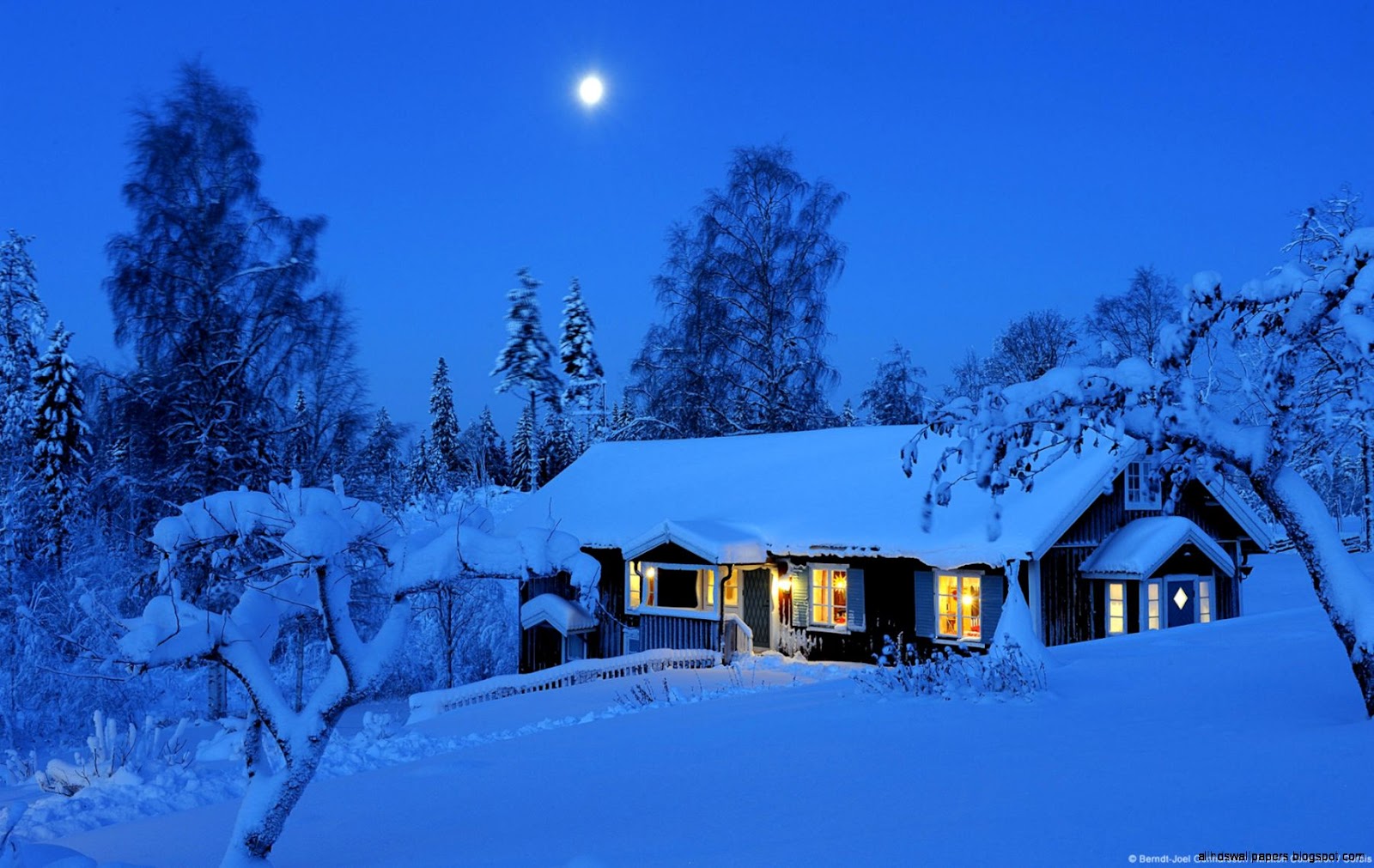 Microsoft Winter Themes