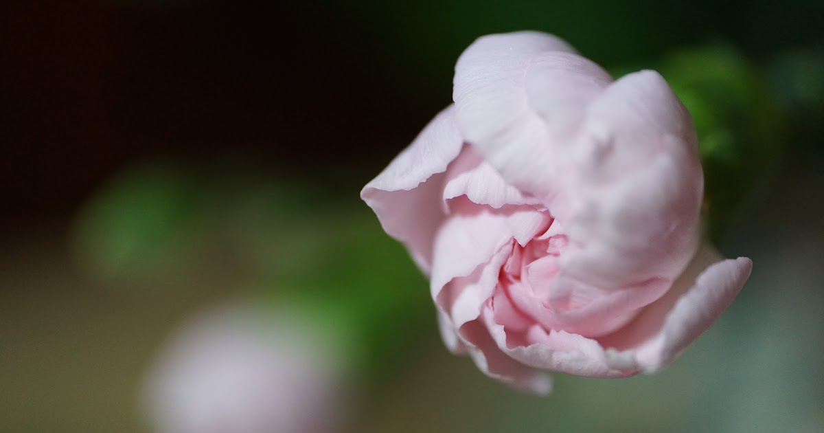 睡眠: 人生の各段階で推奨される睡眠時間は何時間ですか?