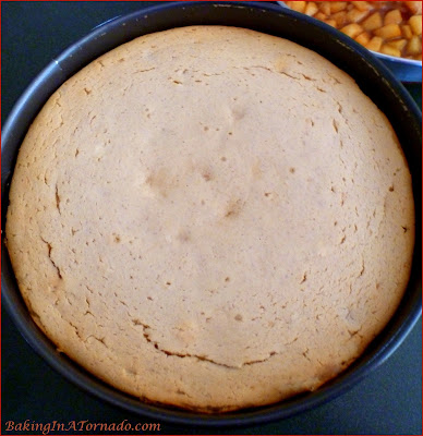 Celebrate apple season with an Apple Pie Cheesecake, apple pie flavored cheesecake with a caramel apple topping. | Recipe developed by www.BakingInATornado.com | #recipe #apple #RoshHashanah