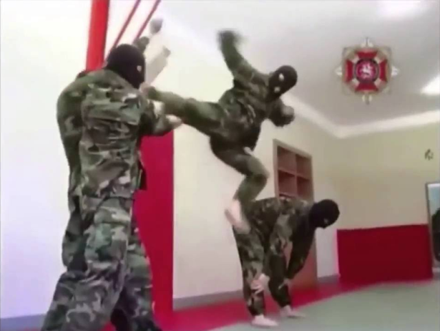 Forces Spéciales Géorgienne