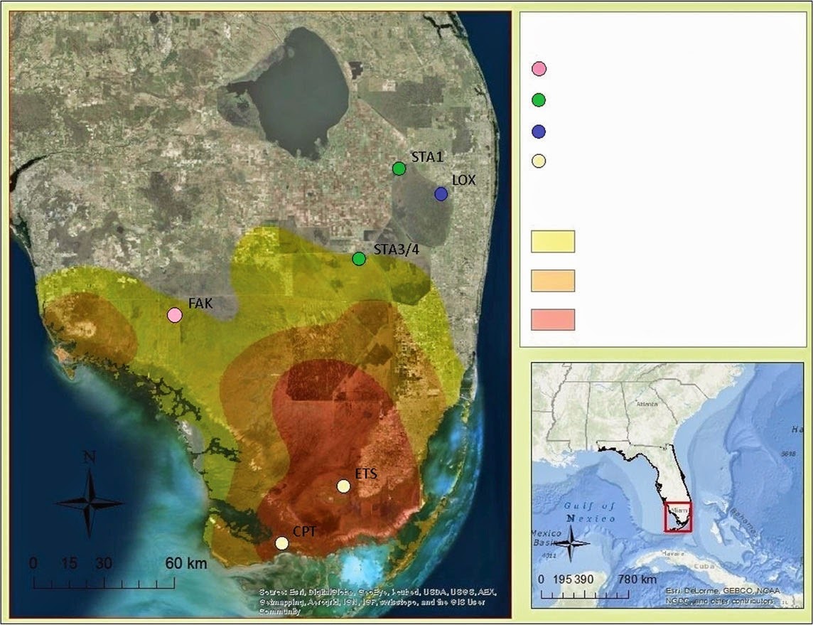 Sciency Thoughts: Experimental evidence suggests Burmese Pythons are ...