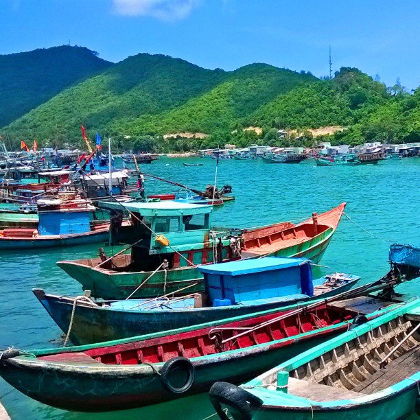 canh-viet-nam-du-5.jpg
