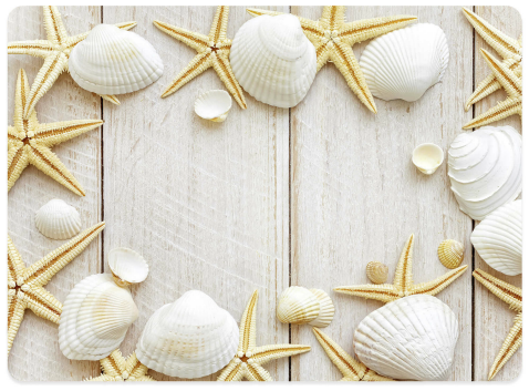Shell Photo Placemats
