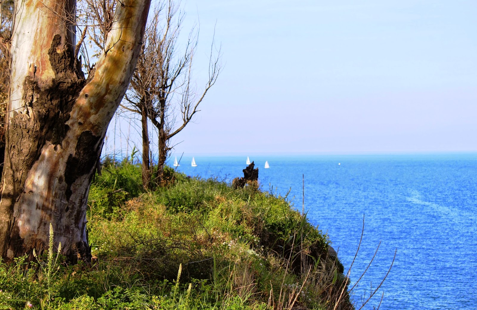 Sulla riva del mare Scrivo immagini
