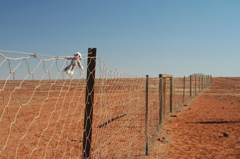 Dingo Fence World's Longest Fence Unbelievable Info