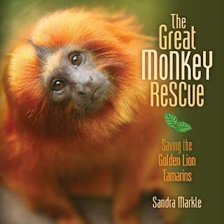 Great Monkey Rescue by Sandra Markle book cover Great Monkey Rescue by Sandra Markle book cover