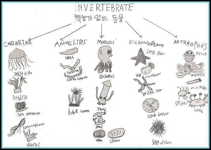 Makalah IPA: Invertebrata