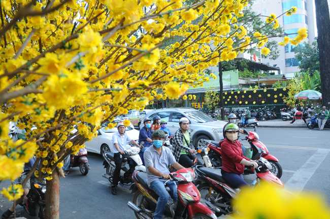 Thăm Sài Gòn đến phố ông đồ du ngoạn xin chữ dịp tết nguyên đán