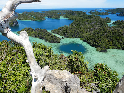 Nigel Foster The color of water seen from above in Indonesia