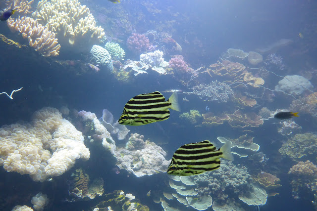 2016090157noumea.JPG