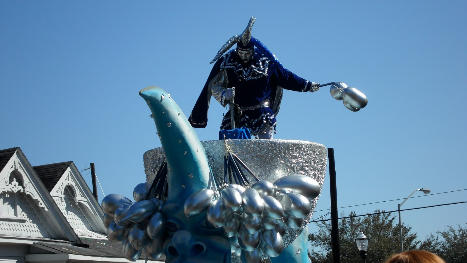 why do they use cow bladders for mardi gras