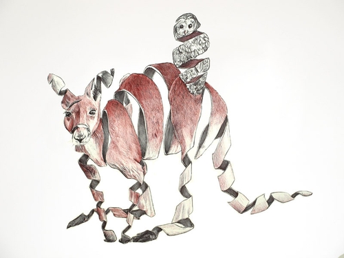 05-Kangaroo-and-Owl-Jaume-Montserrat-Illustrations-of-Ribbon-Animals-in-Emptyland-www-designstack-co