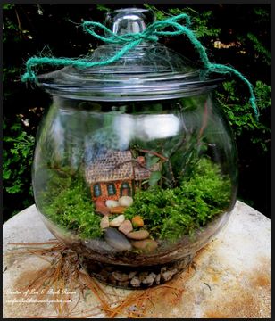 Model Aquarium Toples Unik Harga Murah Infoikan Com