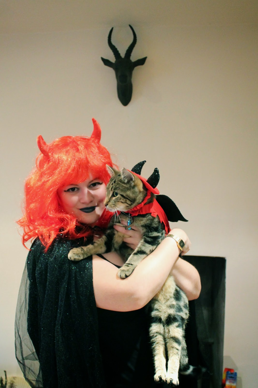matching halloween devil costume for cats dogs pets humans