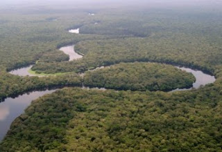 Critical for Congo Forest