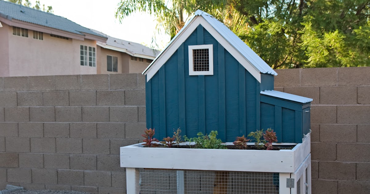 View Mitre 10 Chicken Coop Images