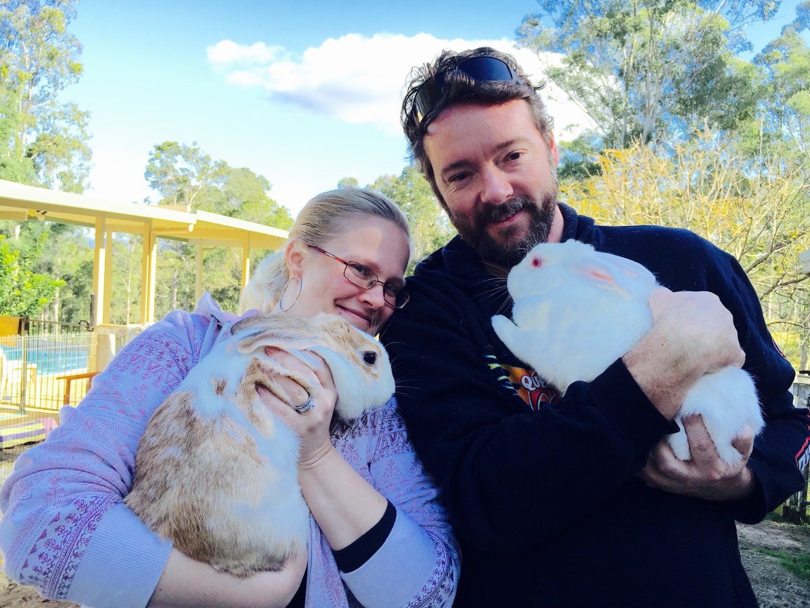 Rabbit Rescue Sanctuary VISIT THE RABBIT RESCUE SANCTUARY & ADOPTION