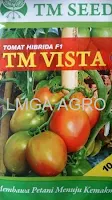 jual benih tomat tm vista,benih tomat tm vista,tomat tm vista,budidaya tomat,benih tomat,lmga agro