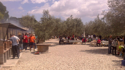 costellada%2BFptps 668