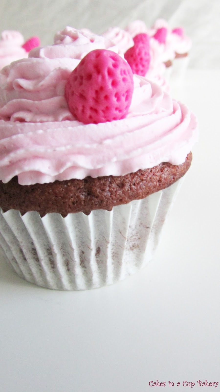 Cakes In A Cup Bakery CUPCAKES CHOCOLATEADOS CON FROSTING DE FRAMBUESA
