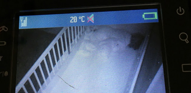 photo of screen of baby monitor of baby asleep in cot