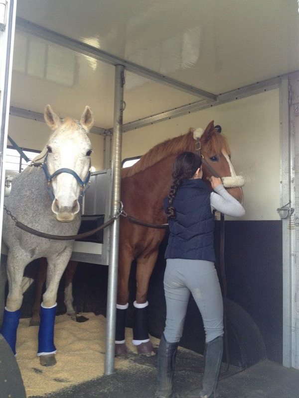 Yetter Training Center, Gaithersburg Maryland Horse Transportation Guide