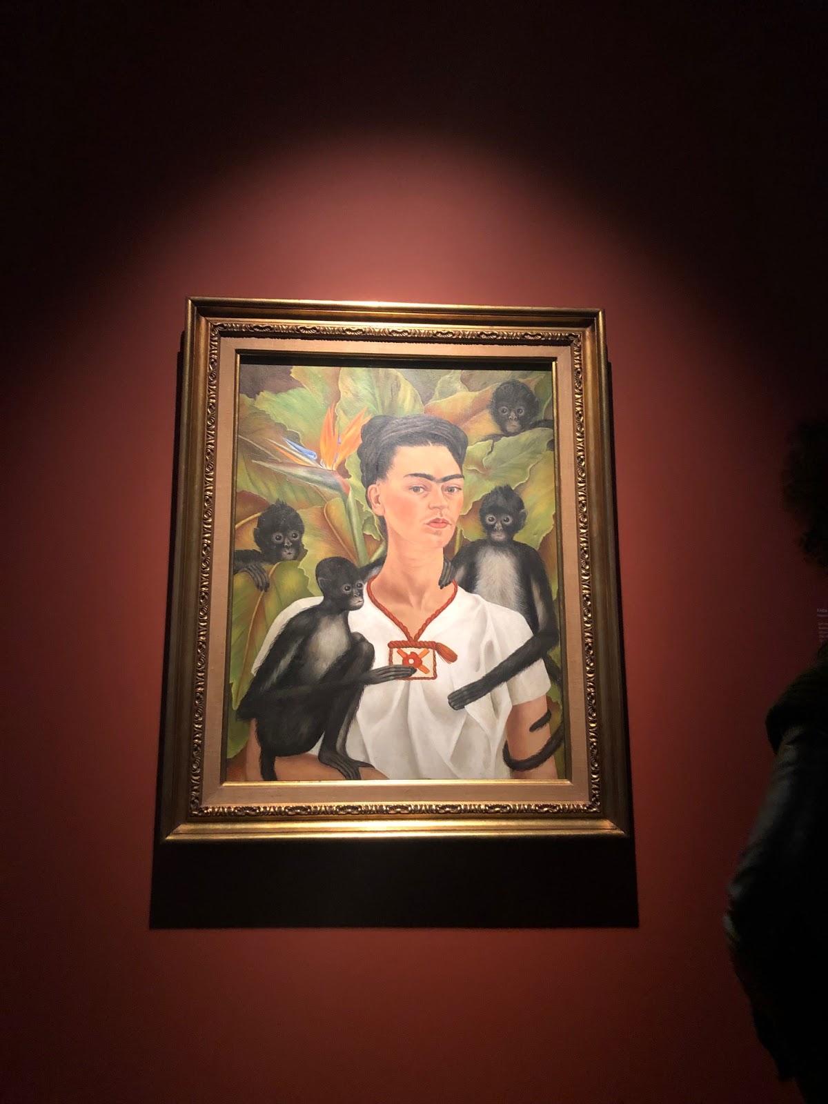 Frida