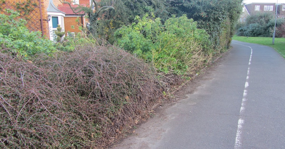 Ham Photos Maintenance in Royal Park Gate