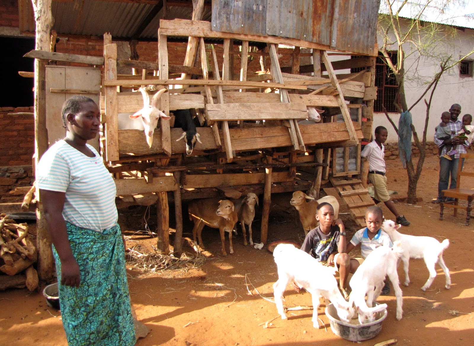 UJENZI WA MABANDA BORA YA MBUZI - KWA GHARAMA NAFUU KABISA