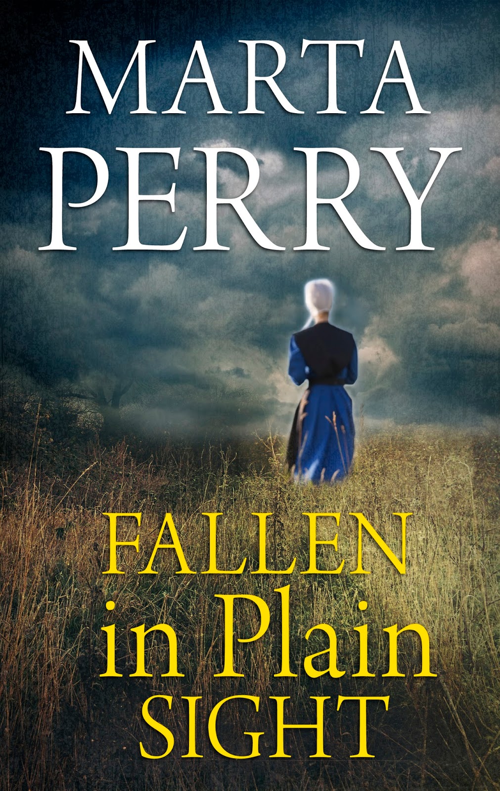 Books by Marta Perry FALLEN IN PLAIN SIGHT