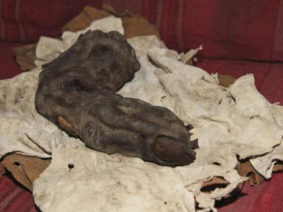 Un dedo de 38 centímetros de largo encontrado en Egipto: ¿Evidencia de los Nephilim? Dedo%2Bde%2Bgigante%2Begipto%2B%25282%2529