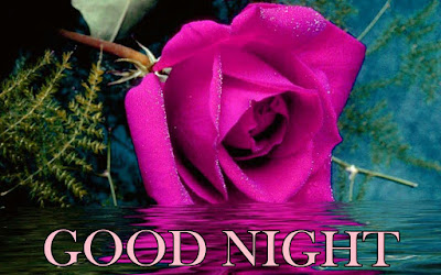 good night good night