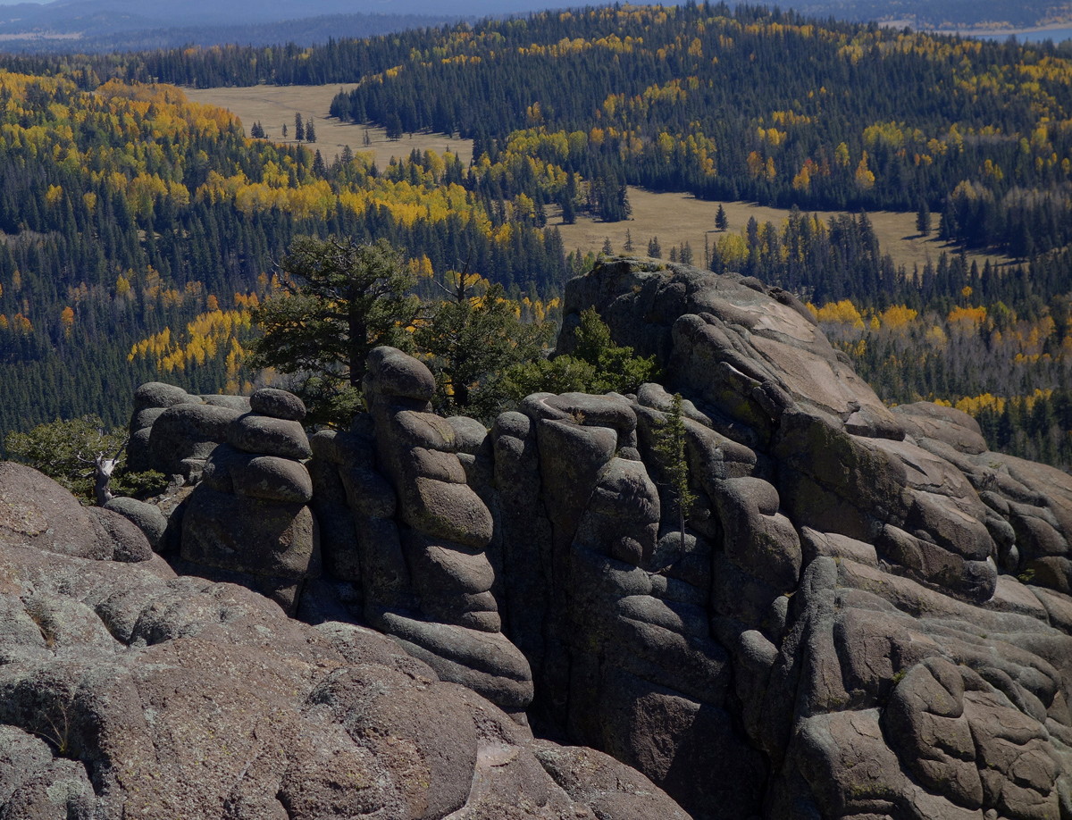 The Show and Tell Nature Blog The White Mountains of Arizona