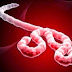 Tìm hiểu về Dịch Ebola - Cách phòng tránh Dịch Ebola - Virus Ebola