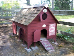 chicken coop plans lean coops easy chickens diy brooder grow duck things hens makeover need poultry deciding consider building raising