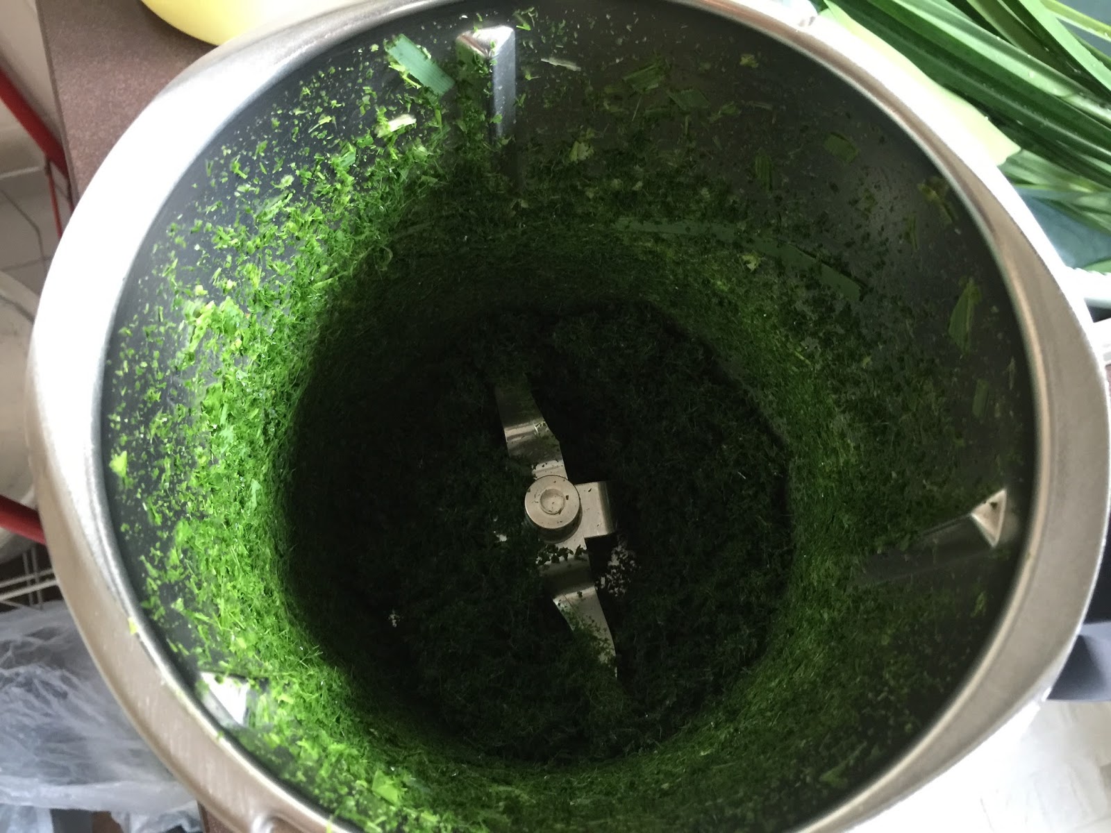 The Right to Be Alive Thermomix Pandan Extract (Pure HomeMade Green