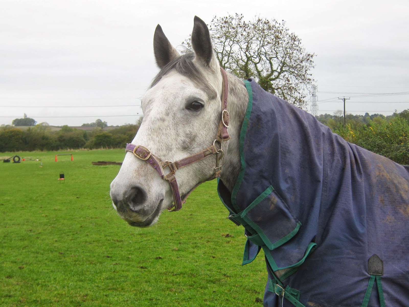 Cosby Friday Walkers Blog November 01112013 Walk from Leire to