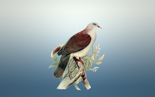 生息地と生態的ニッチの違い